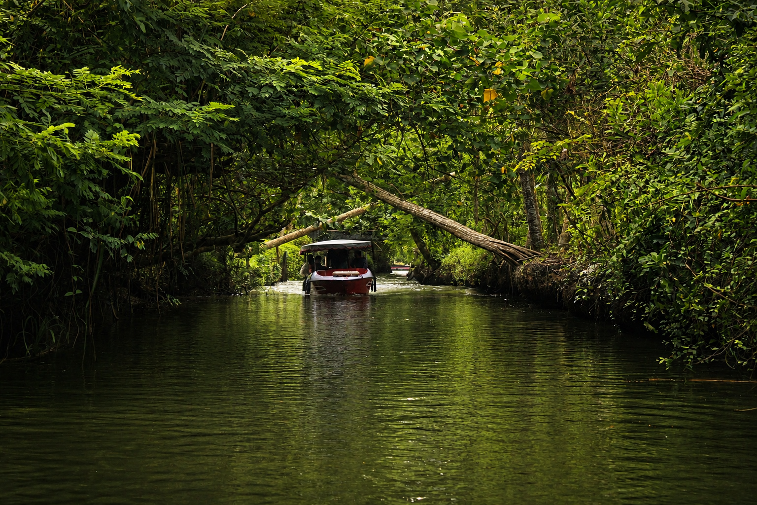 Boat Ride