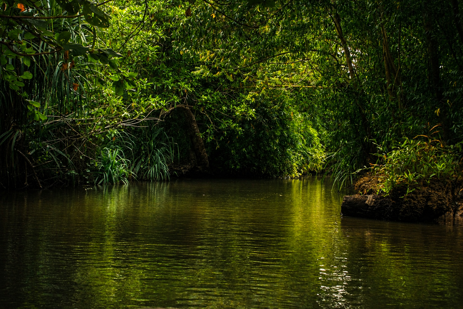 Backwaters